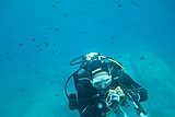 DSC02385.jpg